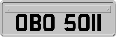 OBO5011