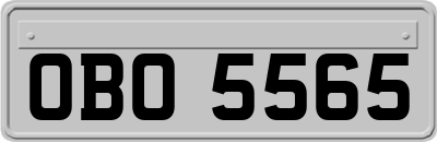 OBO5565