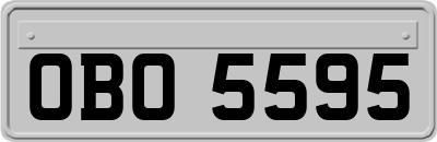 OBO5595