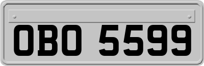 OBO5599