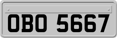 OBO5667