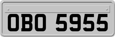 OBO5955
