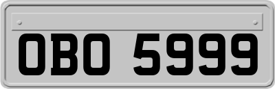 OBO5999