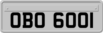 OBO6001