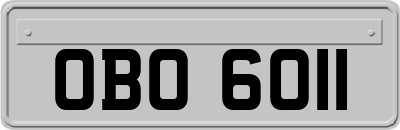 OBO6011