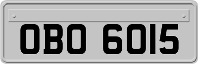 OBO6015