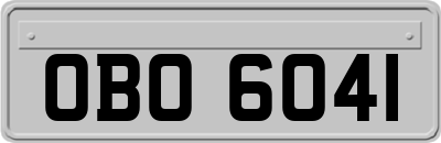 OBO6041