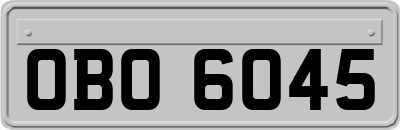 OBO6045
