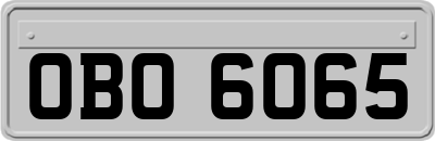 OBO6065