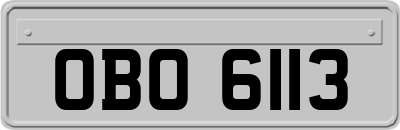 OBO6113