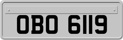 OBO6119