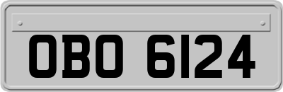 OBO6124