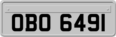 OBO6491