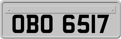 OBO6517