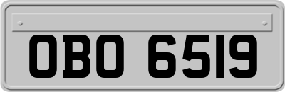 OBO6519