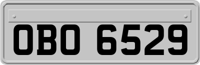 OBO6529