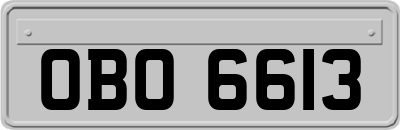OBO6613