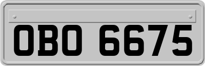 OBO6675