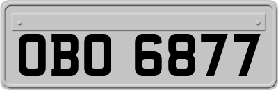 OBO6877
