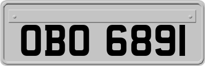 OBO6891
