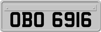 OBO6916