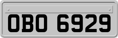 OBO6929