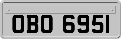 OBO6951
