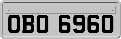 OBO6960