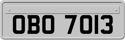 OBO7013