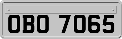 OBO7065