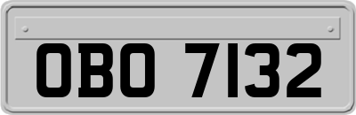 OBO7132