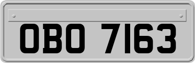 OBO7163