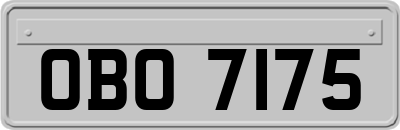 OBO7175