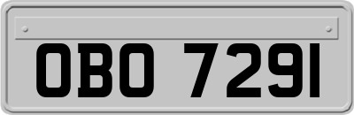 OBO7291