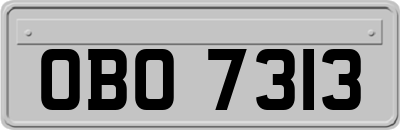 OBO7313