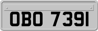 OBO7391