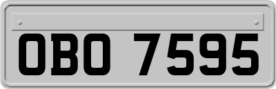 OBO7595