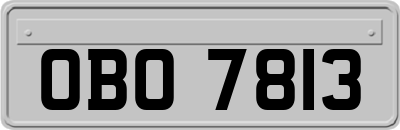 OBO7813