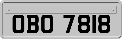 OBO7818