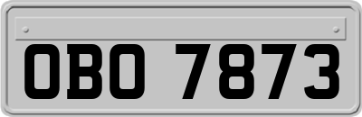 OBO7873