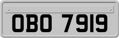 OBO7919