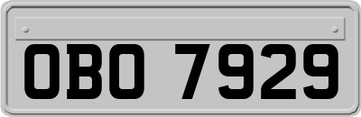 OBO7929