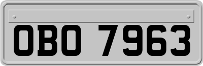OBO7963
