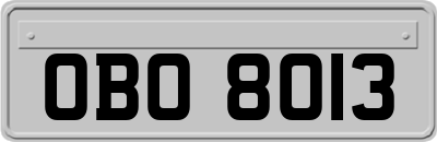 OBO8013
