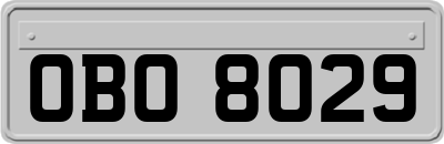 OBO8029