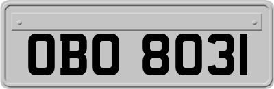 OBO8031