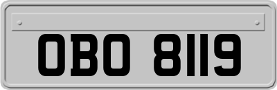OBO8119