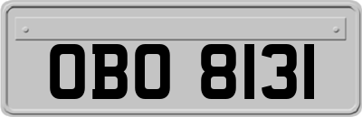 OBO8131