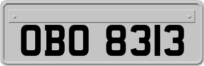 OBO8313
