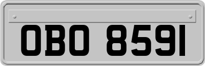 OBO8591